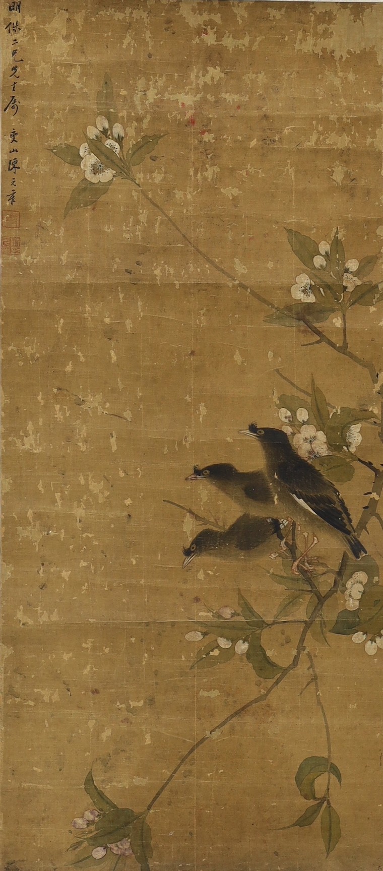 A Chinese scroll painting on silk of blackbirds perched on a blossoming branch, 19th century, image 79cm x 35cm